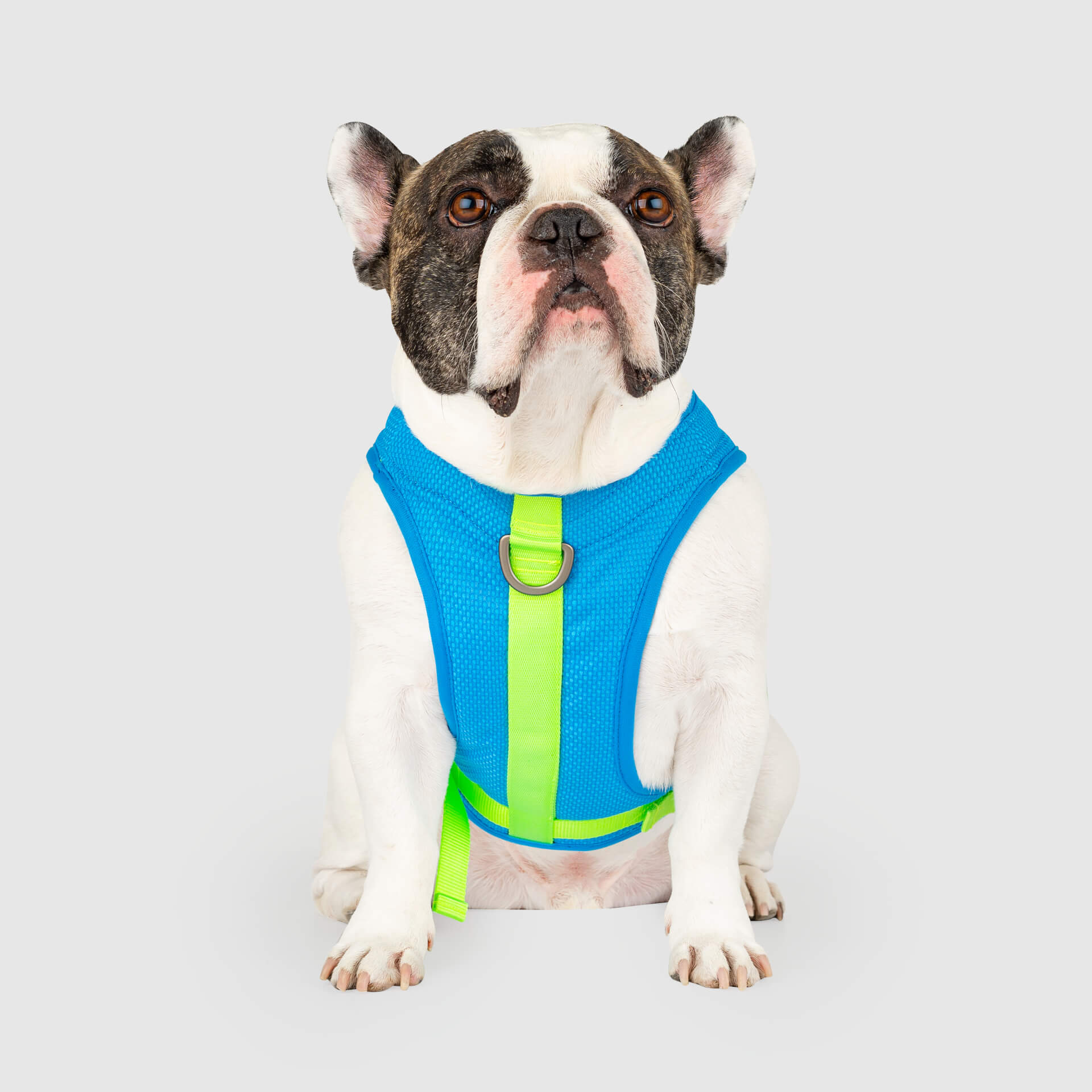 Chill Seeker Cooling Harness